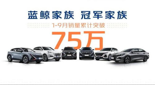 讓人放心的 大塊頭 ,比探岳大一圈,搭 冠軍動(dòng)力 頂配13萬多