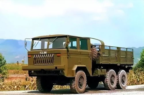 重慶重汽集團(tuán)吃了德隆系的大虧,相當(dāng)悲劇